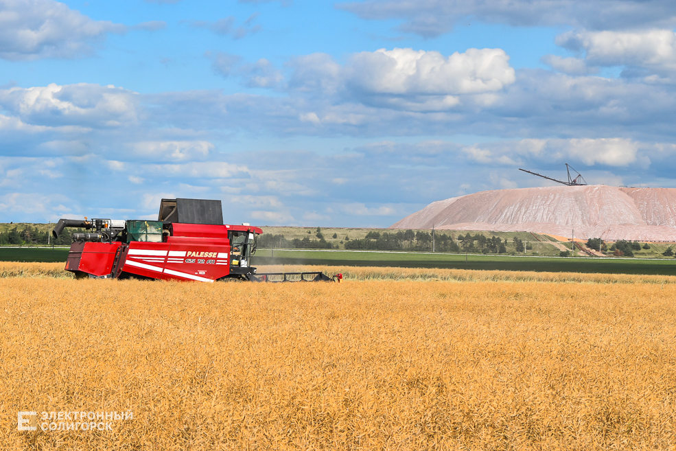 Уборочная в Солигорском районе