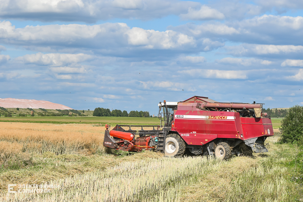 Уборочная в Солигорском районе