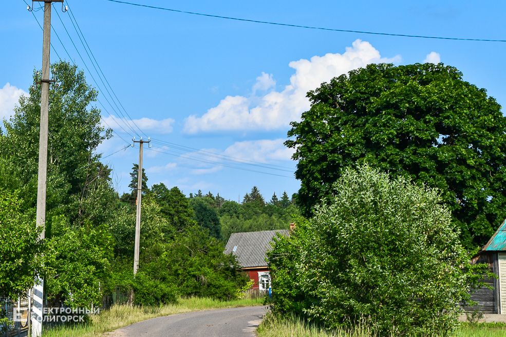 Деревня Доросино Любанского района