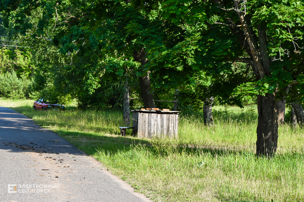 Деревня Доросино Любанского района