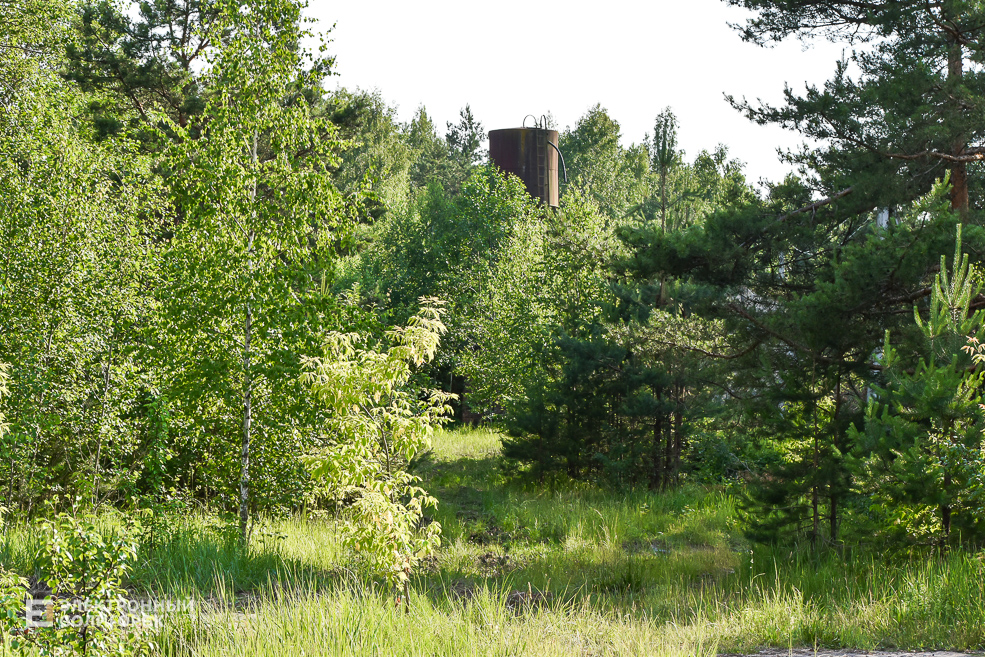 Деревня Доросино Любанского района