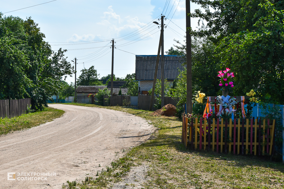Деревня Гуляево Слуцкий район