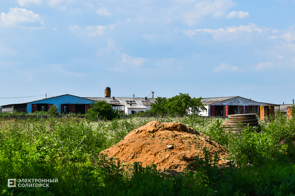 Деревня Гуляево Слуцкий район