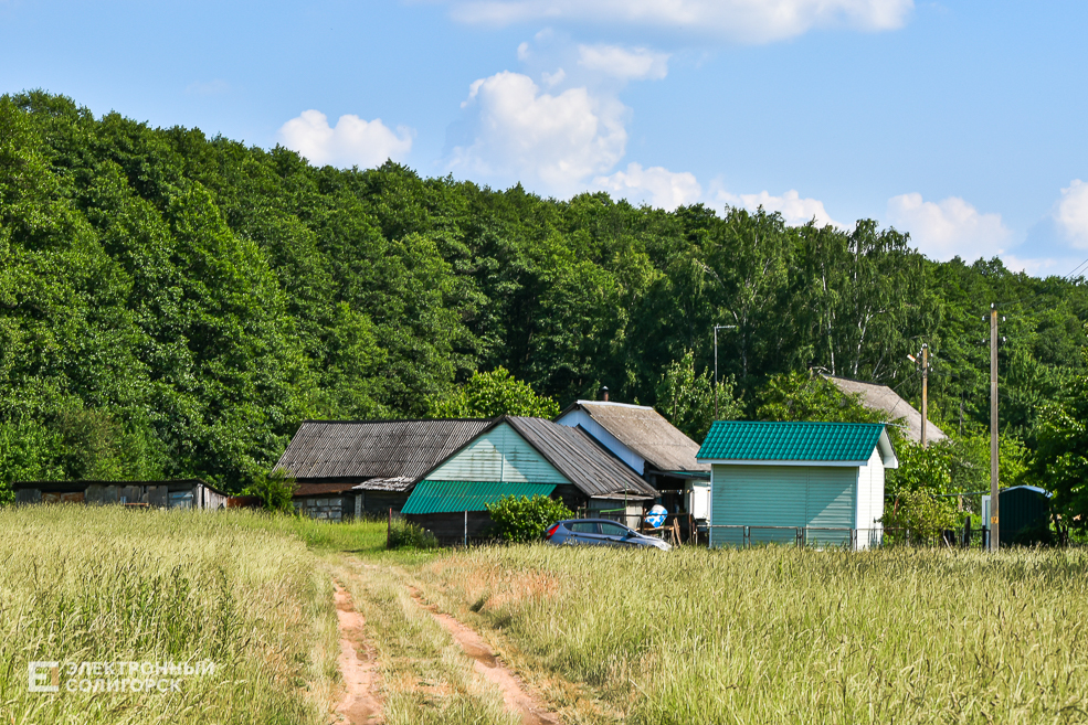 Деревня Гуляево Слуцкий район