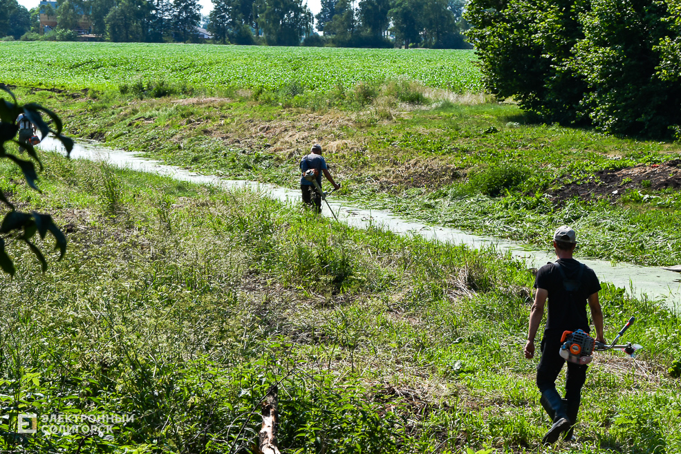 Деревня Гуляево Слуцкий район