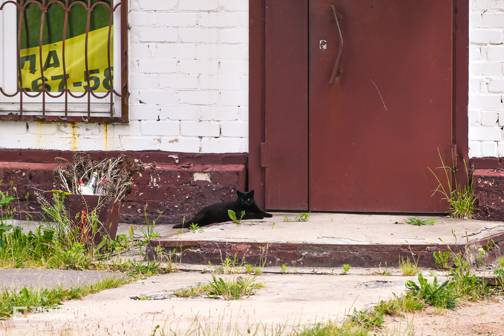 Деревня Радково Солигорский район