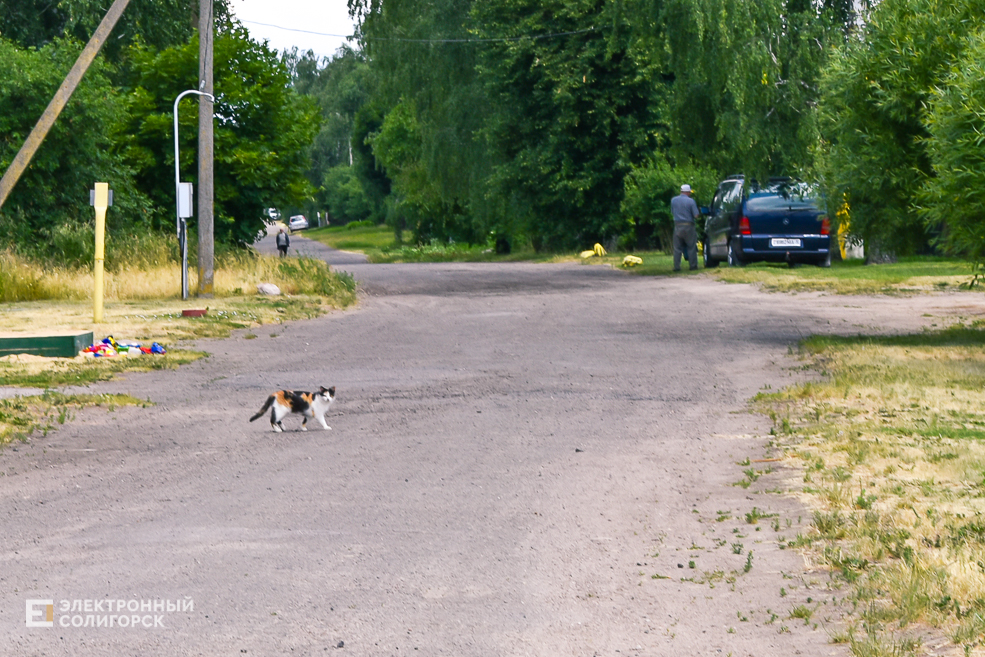 Деревня Радково Солигорский район
