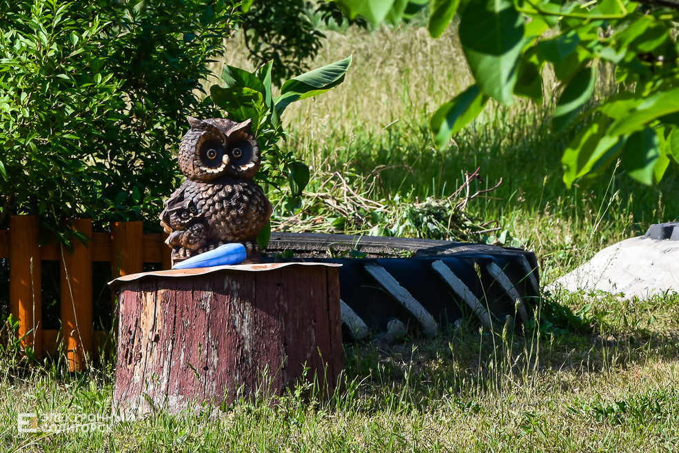 Дом в деревне, благоустройнный двор в Солигорском районе, своими руками