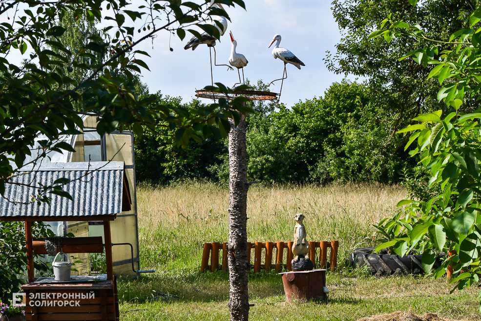 Дом в деревне, благоустройнный двор в Солигорском районе, своими руками
