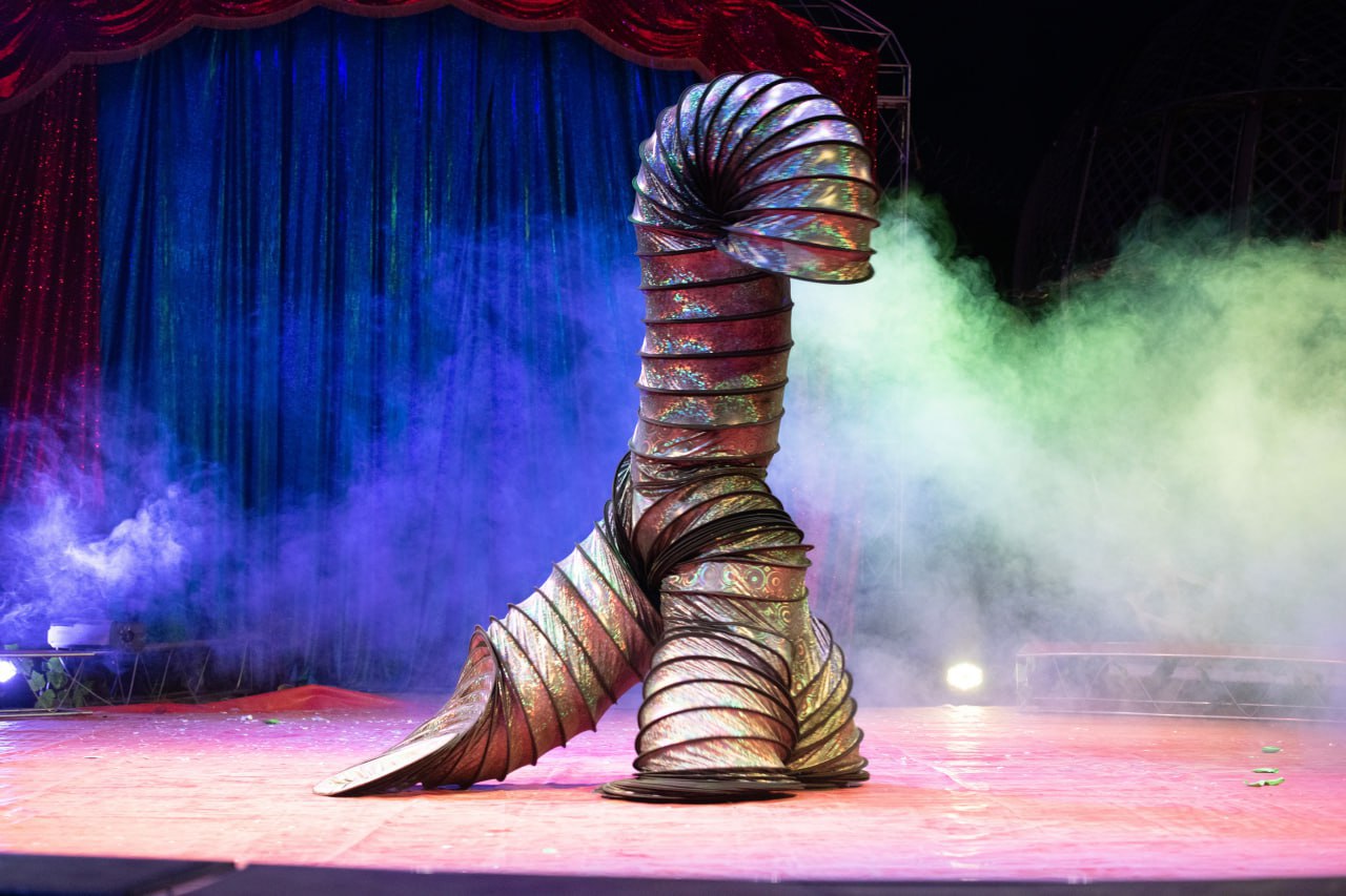 цирк солигорск