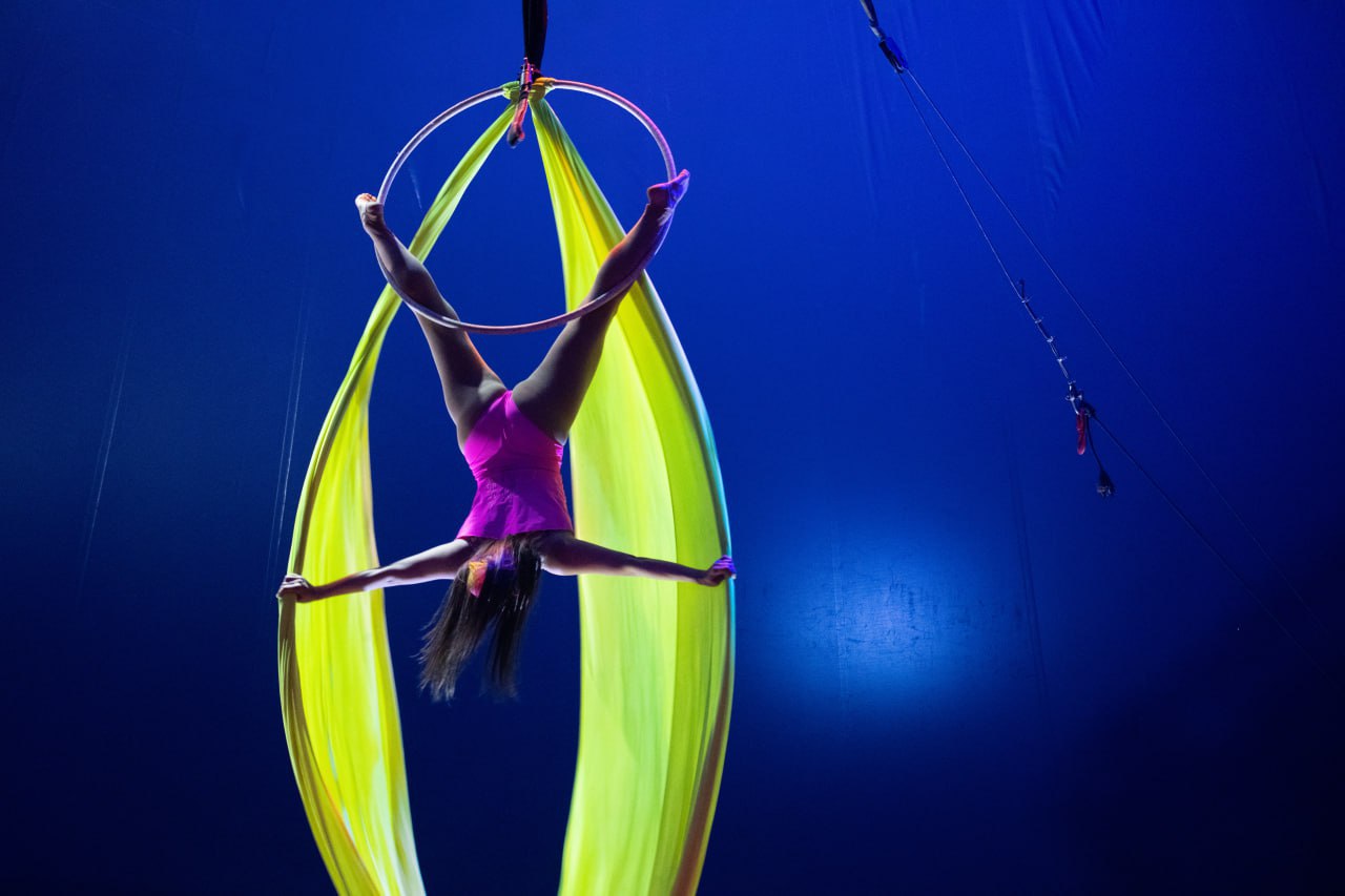 шоу цирк солигорск