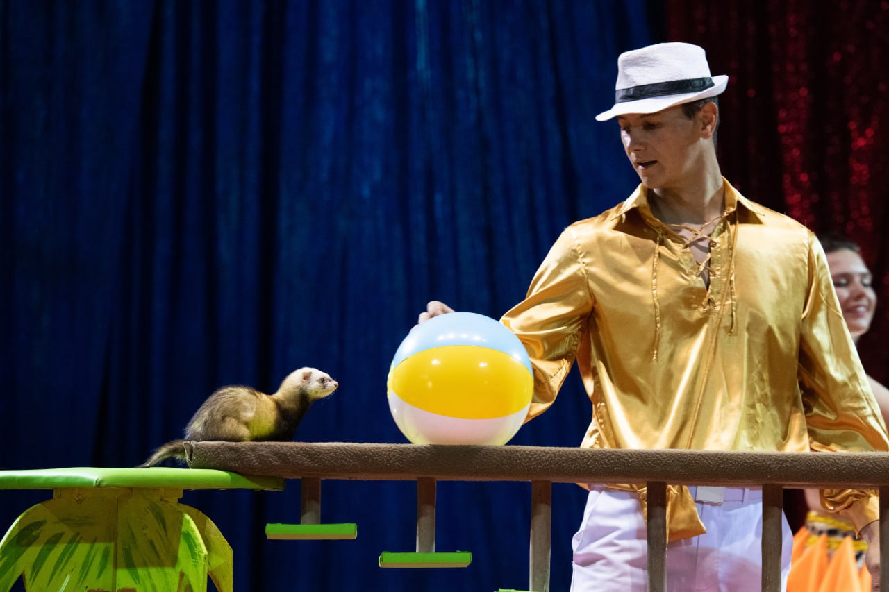 цирк шапито солигорск