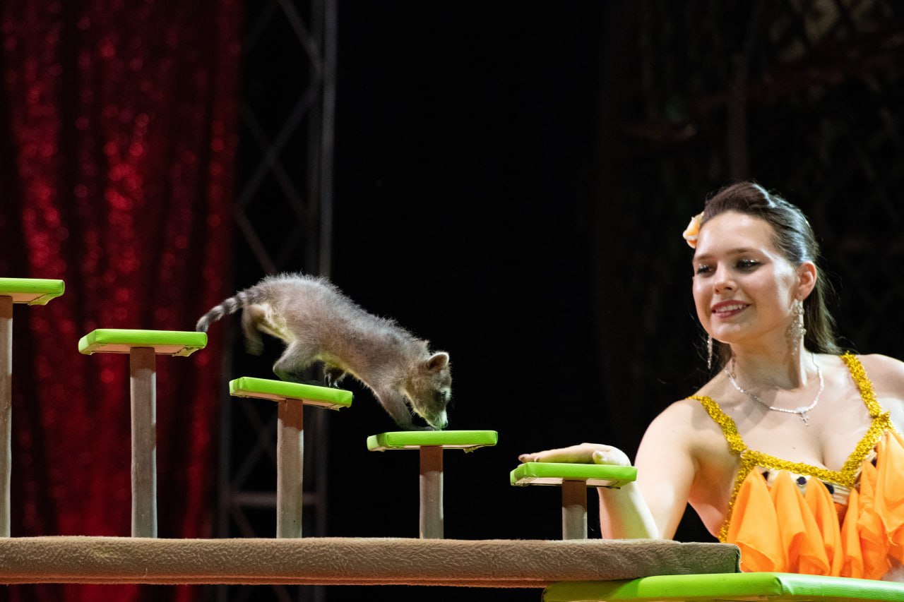 цирк солигорск