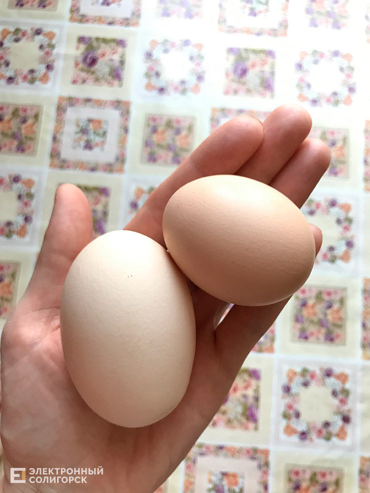 фермеры солигорск