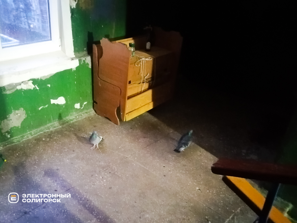 Ремонт подъезда своими руками в Солигорске