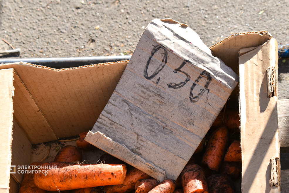 Что почём на солигорском рынке