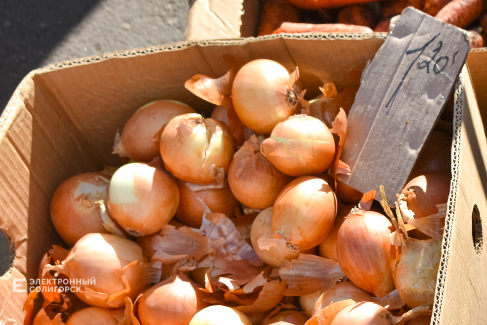 Что почём на солигорском рынке