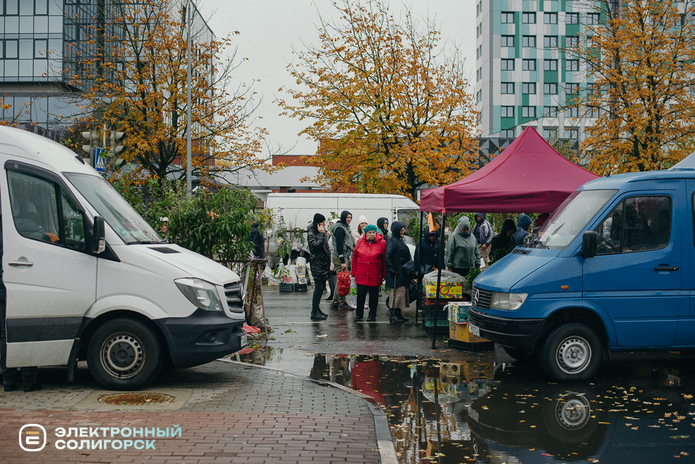 осенняя ярмарка 2023