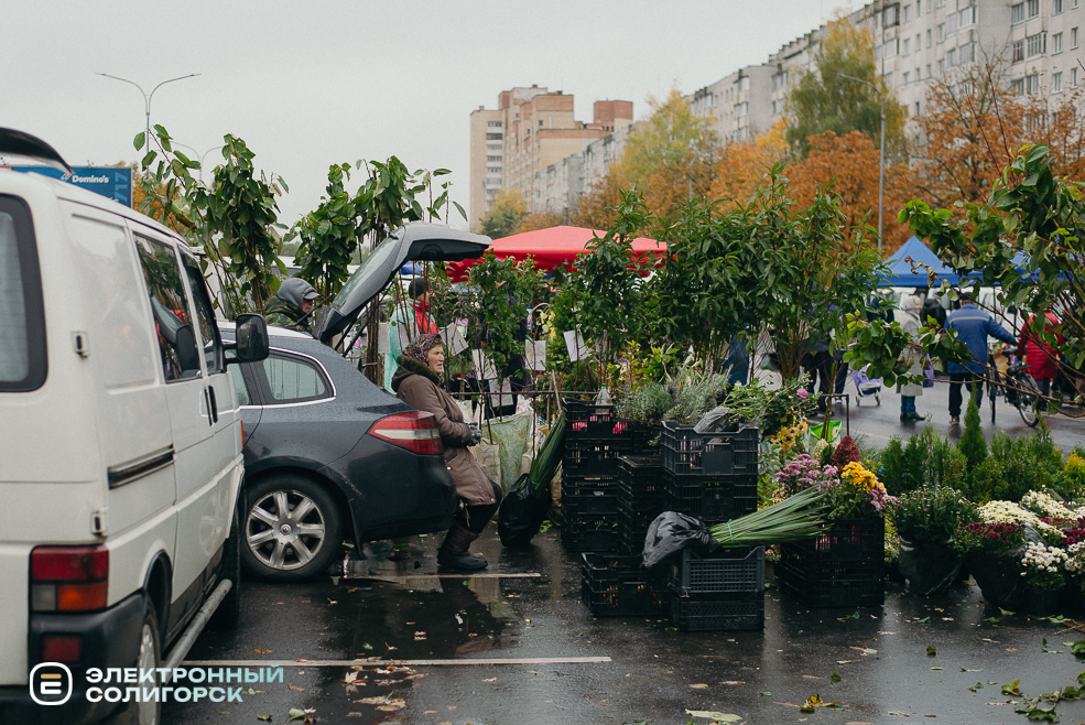 осенняя ярмарка 2023