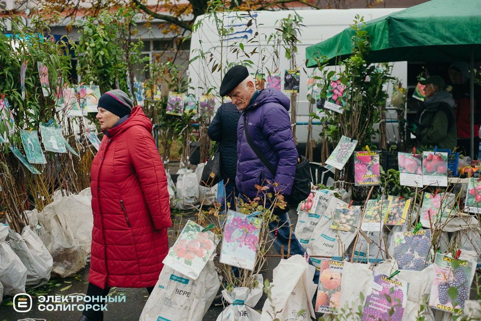 осенняя ярмарка 2023