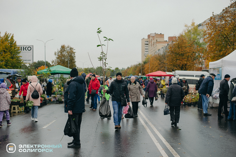 осенняя ярмарка 2023