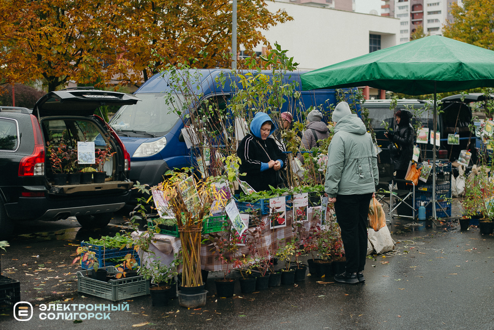 осенняя ярмарка 2023