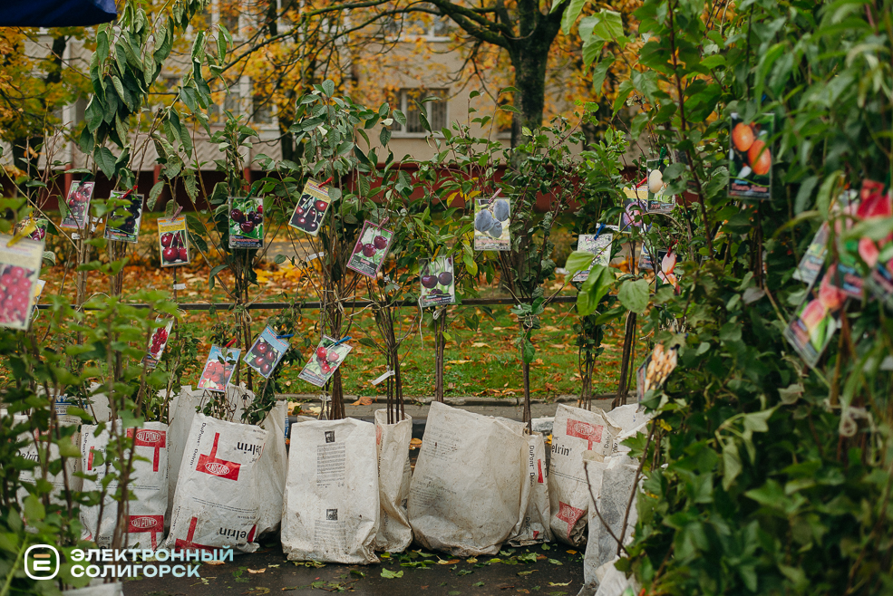 осенняя ярмарка 2023