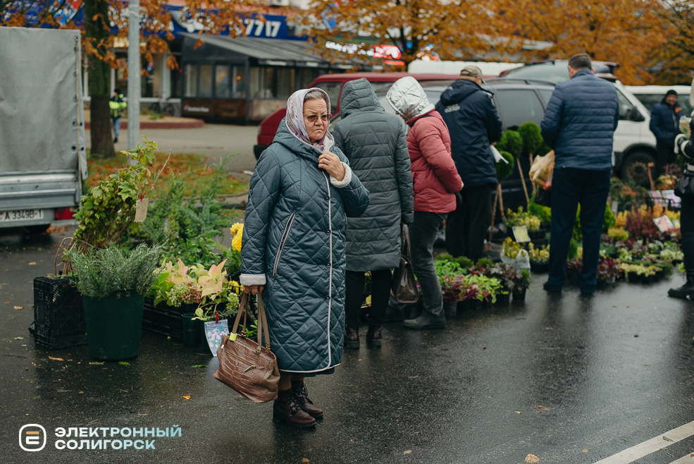 осенняя ярмарка 2023