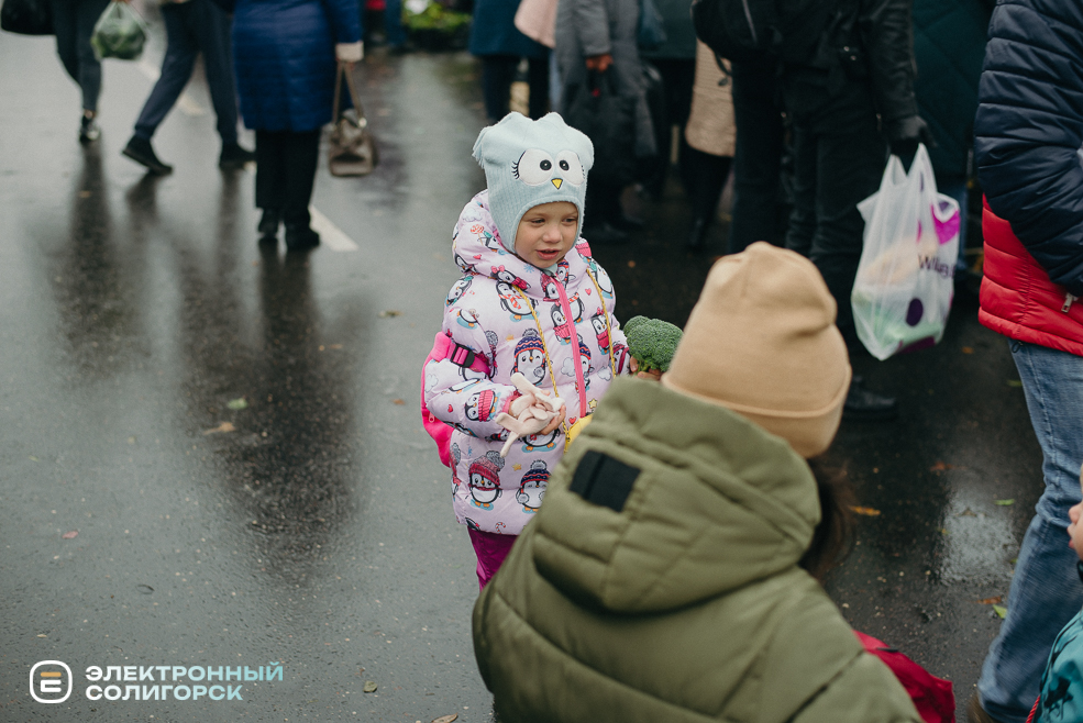 осенняя ярмарка 2023