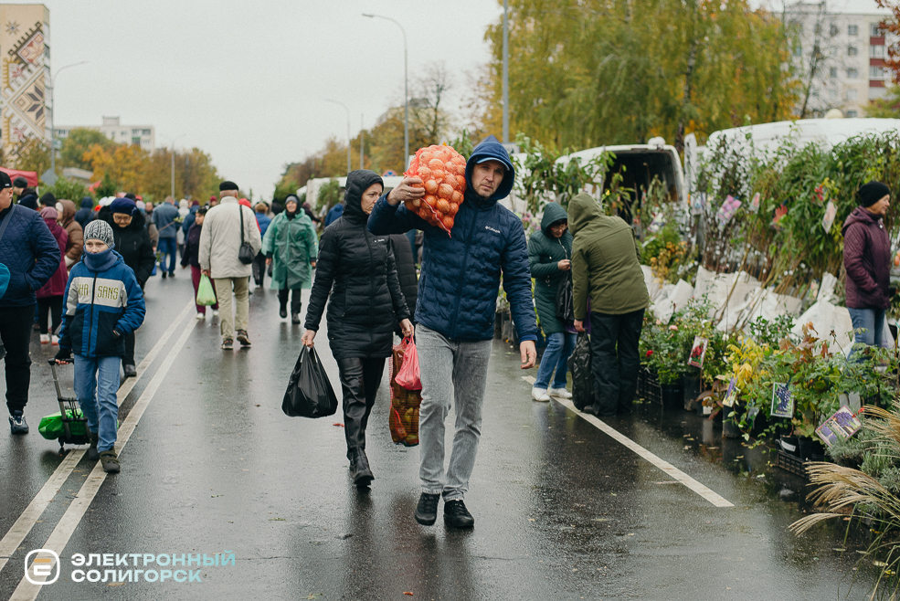 осенняя ярмарка 2023