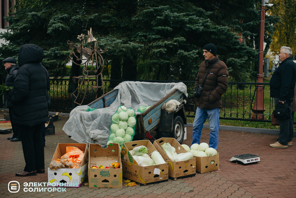 осенняя ярмарка 2023