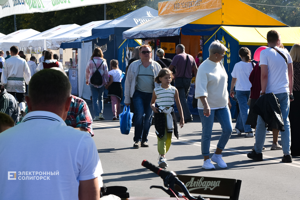 Дожинки 2023 в Солигорске