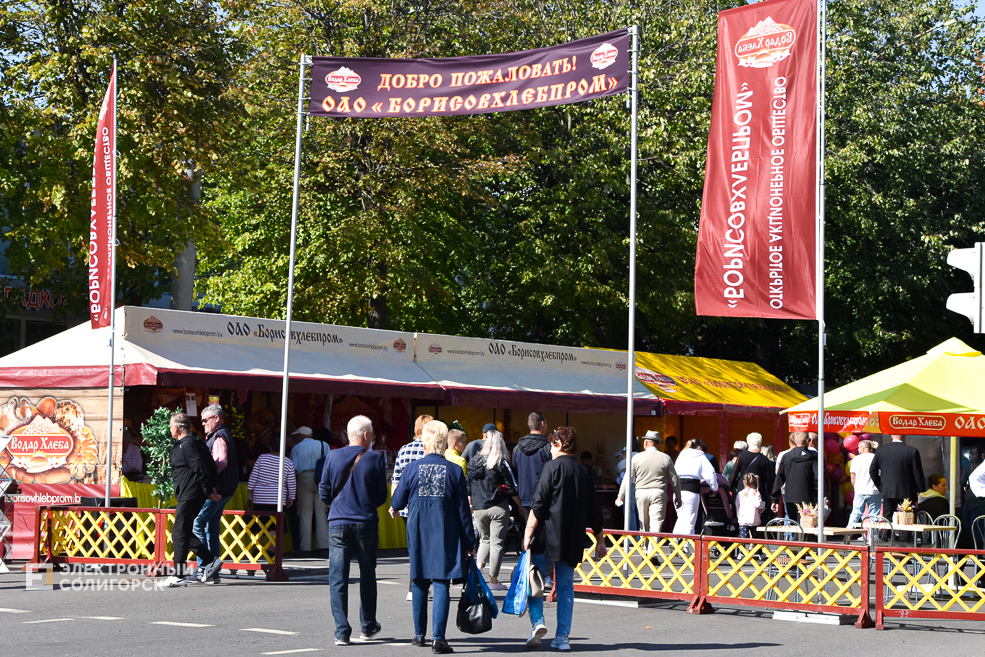 Дожинки 2023 в Солигорске