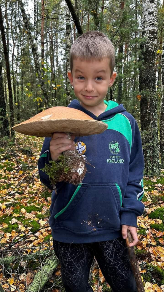 Есть ли в лесу грибы