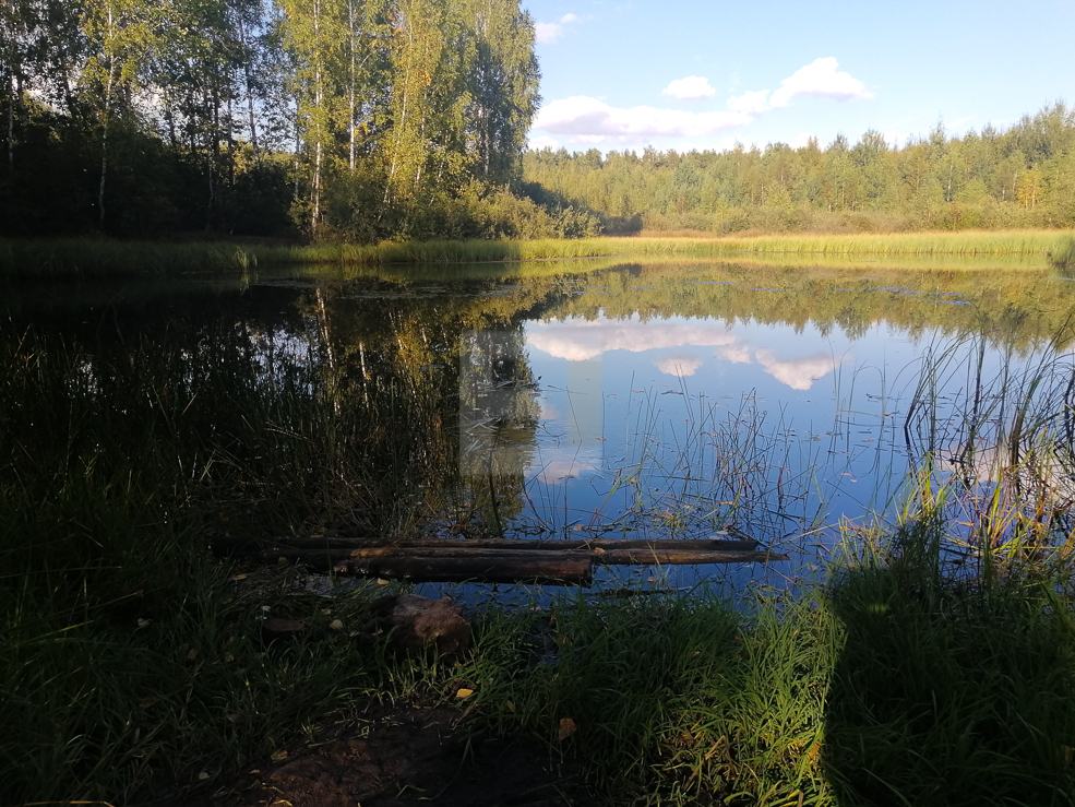 Озеро Хвойня Солигорский район