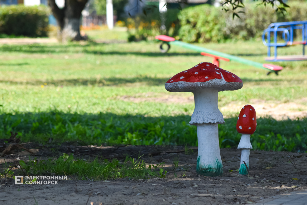 Парк в Красной Слободе Солигорского района
