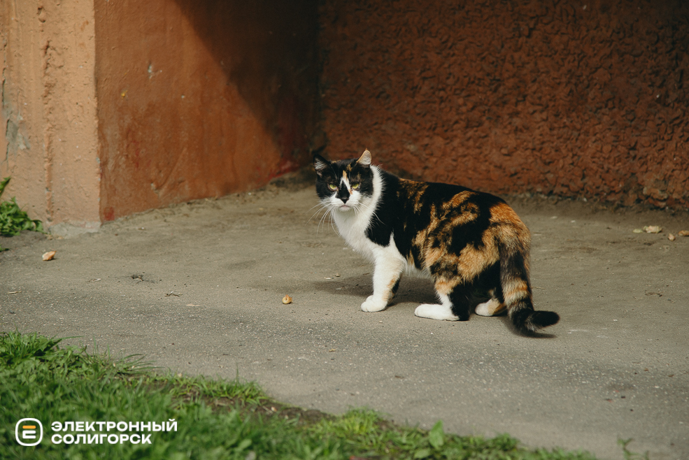 теплые выходные