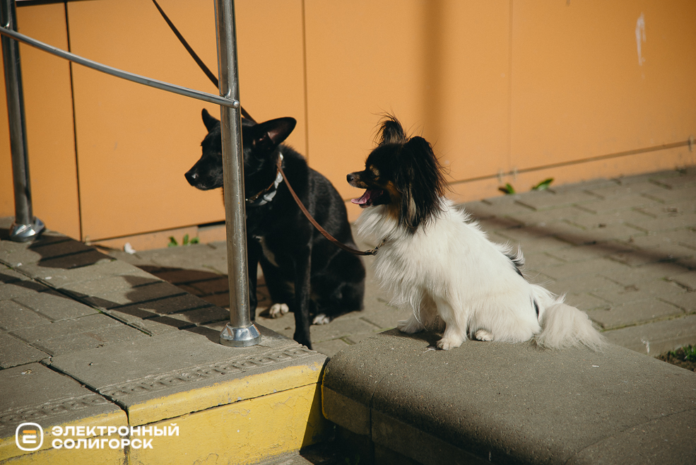 теплые выходные