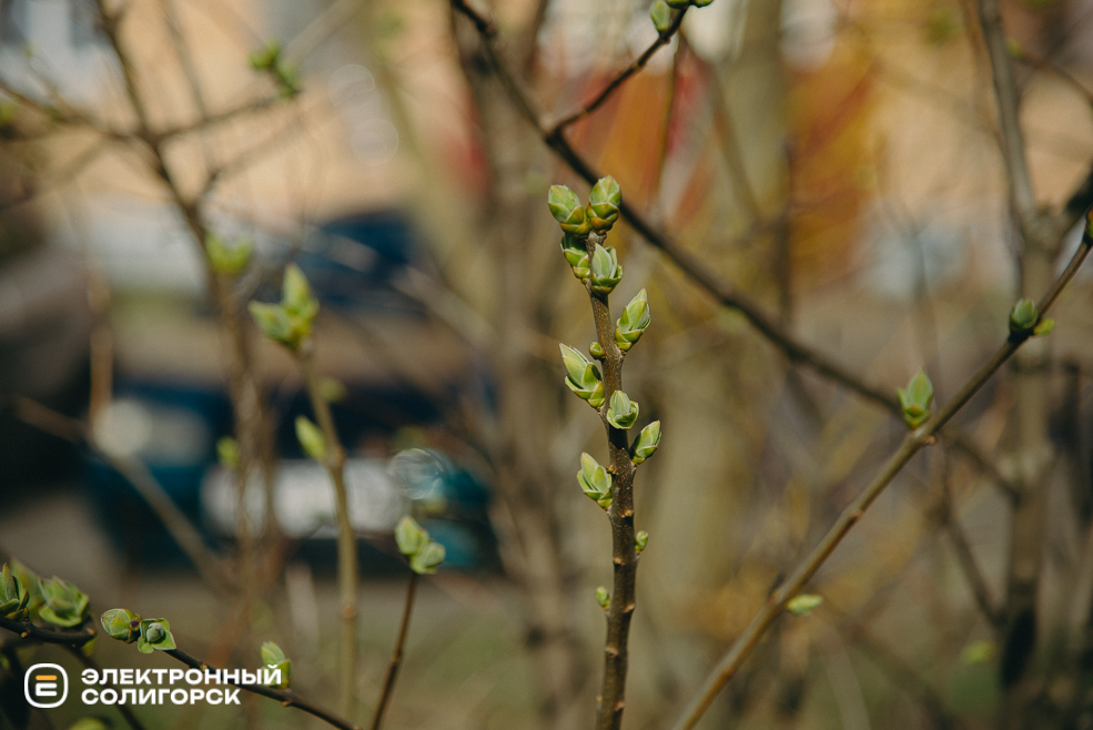 теплые выходные