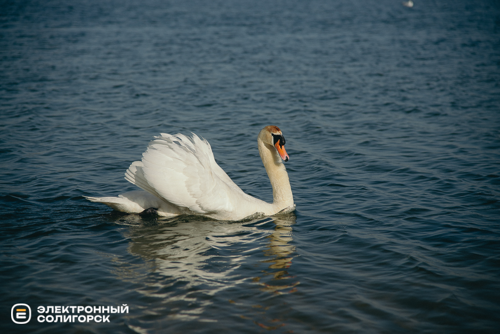 теплые выходные