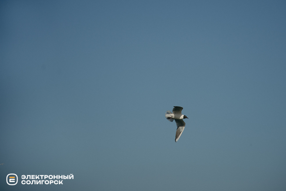 теплые выходные