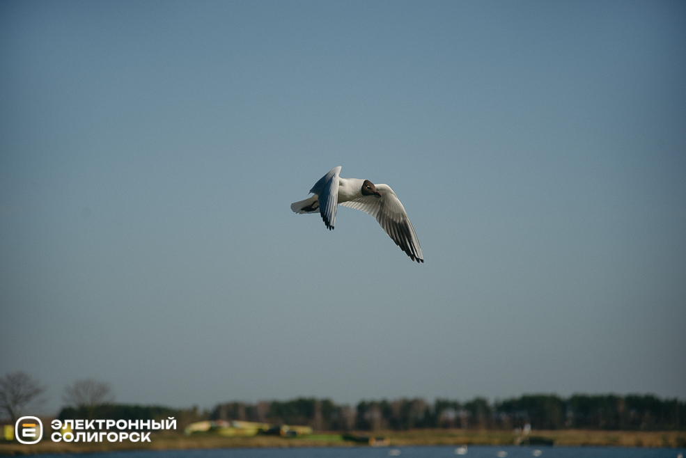 теплые выходные