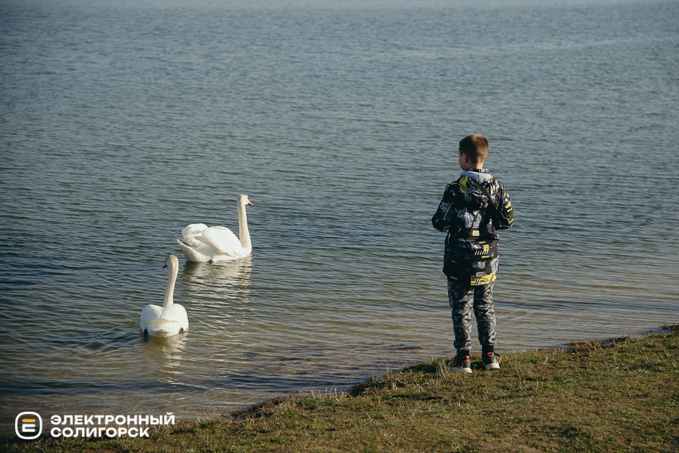 теплые выходные