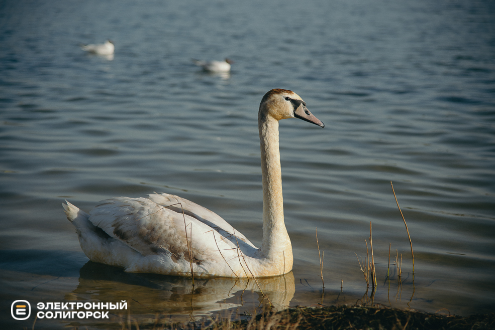 теплые выходные