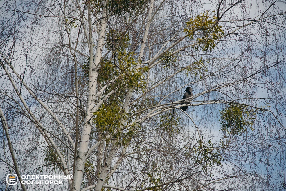 теплые выходные