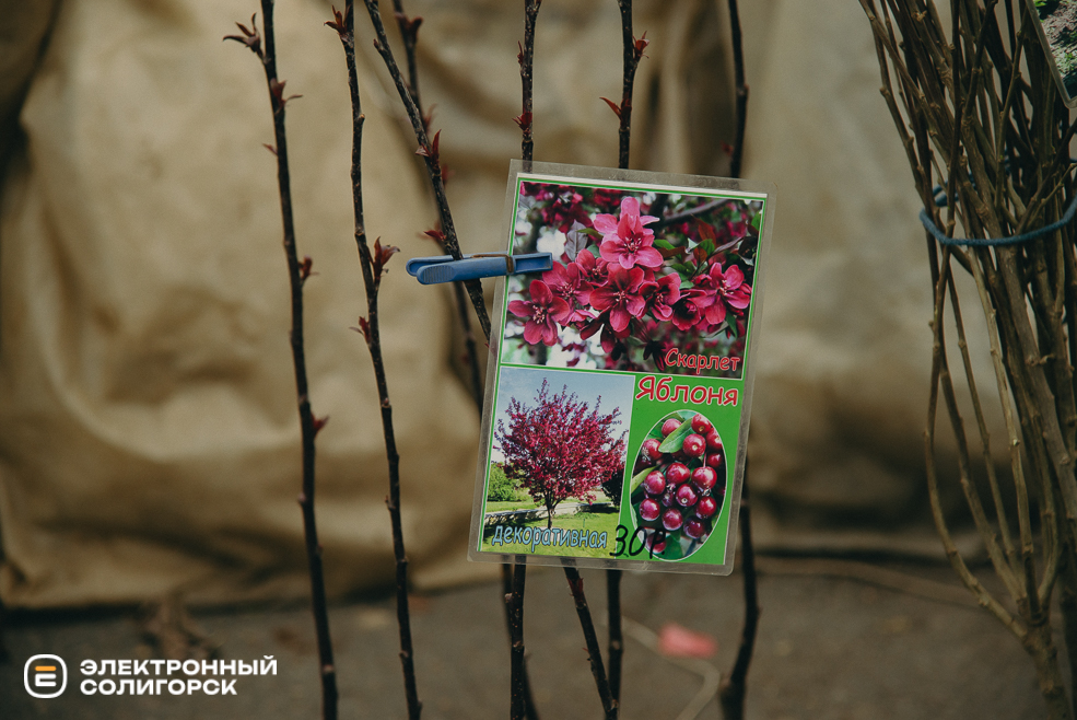 ярмарка весна 2024