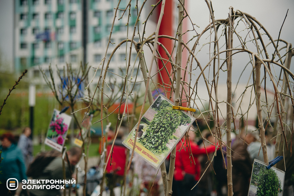 ярмарка весна 2024