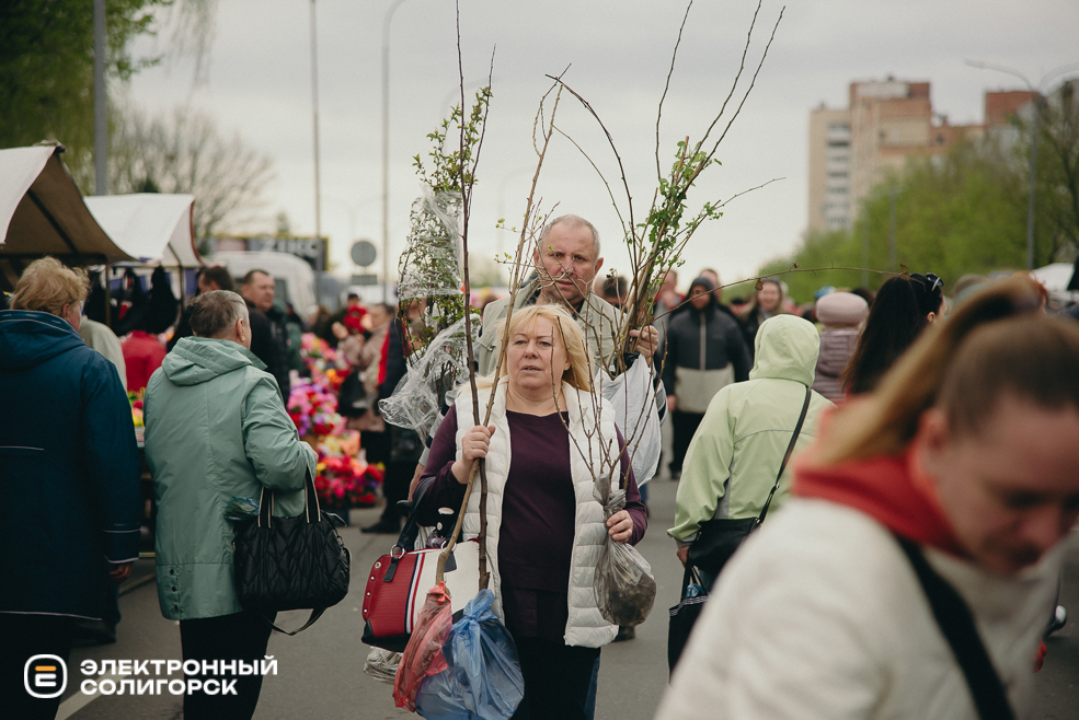 ярмарка весна 2024