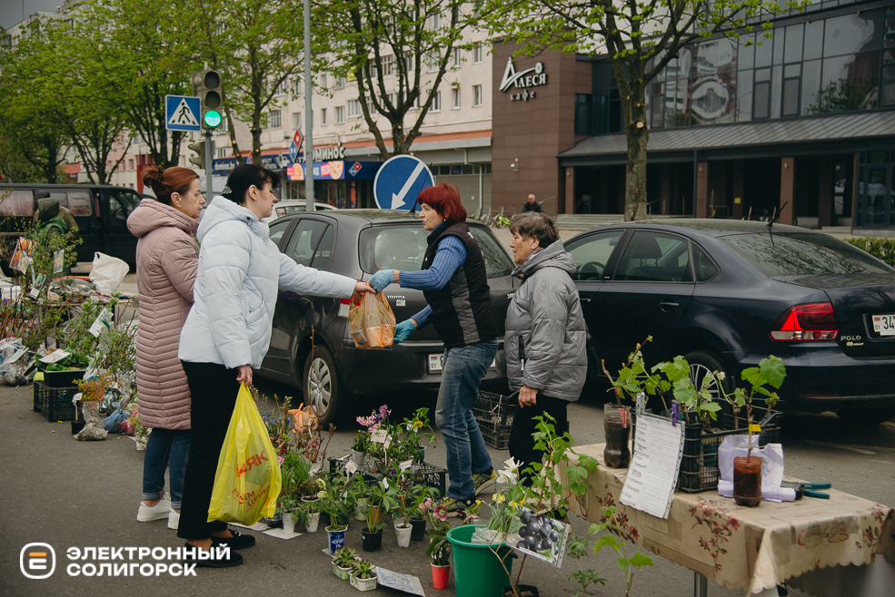 ярмарка весна 2024