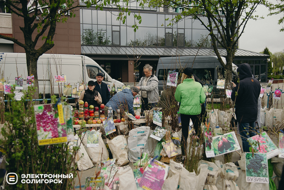 ярмарка весна 2024